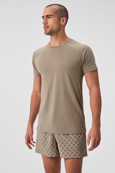 The Triumph Crew Neck Tee - Gravel Product Image