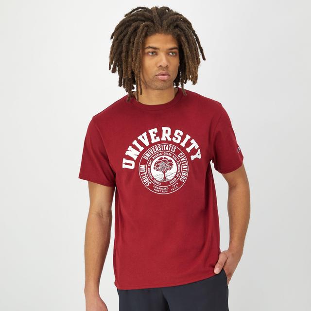 Mens Champion Classic Graphic T-Shirt, University Cardinal L Product Image