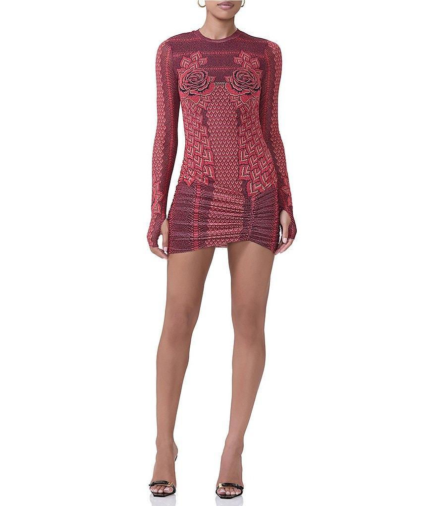 AFRM Mirza Printed Mesh Crew Neck Long Sleeve Ruched Detail Mini Dress Product Image