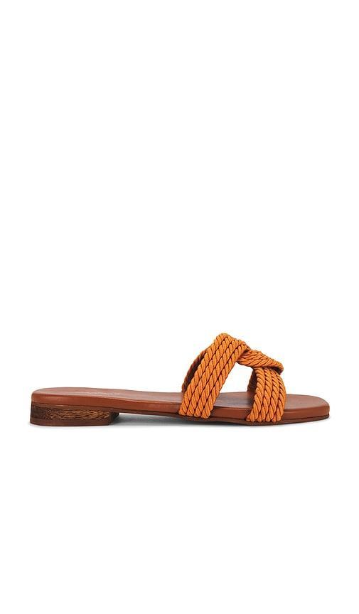 Olas Sandal Product Image