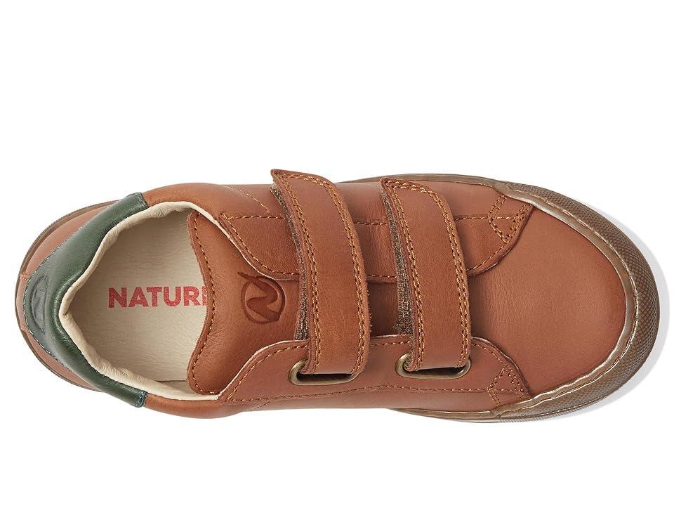 Naturino Eindhoven VL AW22 (Toddler/Little Kid) (Cuoio/Green Bottle) Boy's Shoes Product Image