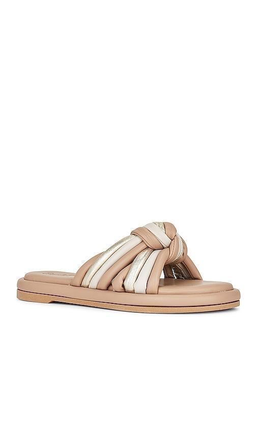 Seychelles Simply the Best Sandal in Tan. - size 6 (also in 7.5, 9.5) Product Image