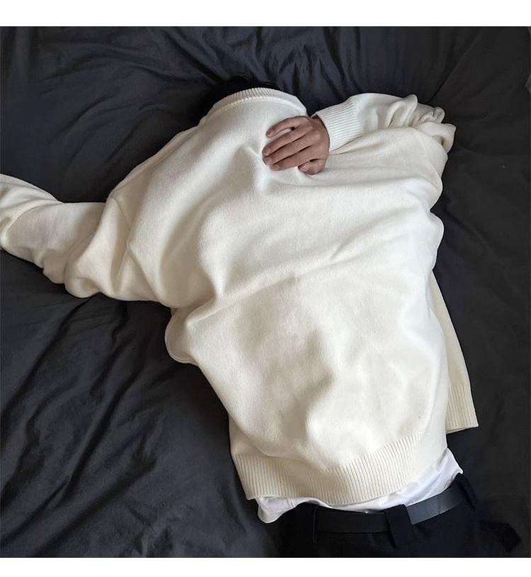 Crew Neck Plain Sweater Product Image