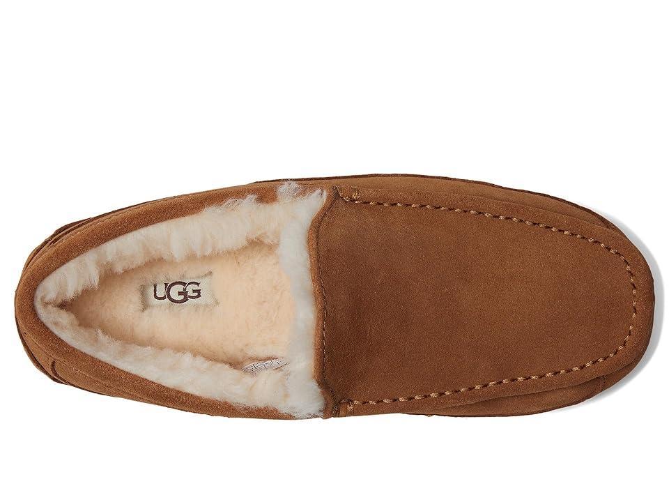 UGG Mens UGG Ascot - Mens Shoes Product Image