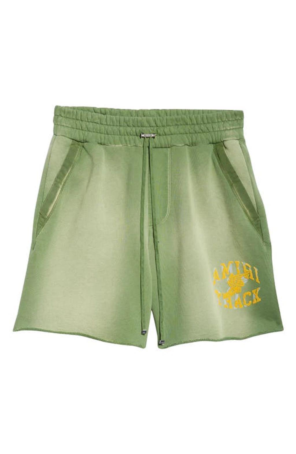 Track Shorts In Green Product Image