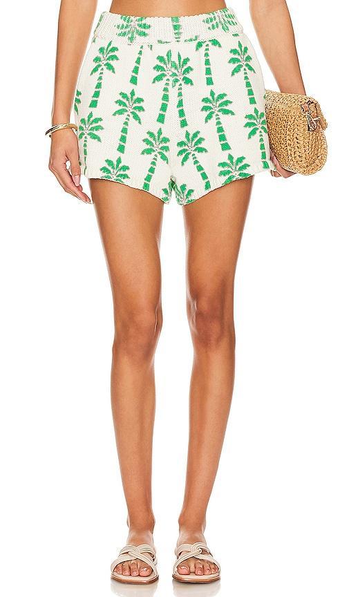 Boardwalk Shorts Product Image