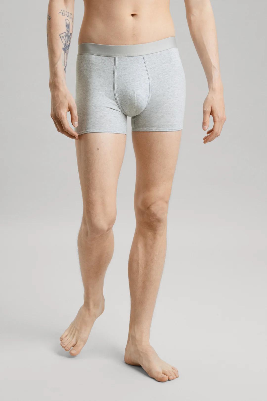 The Boxer Brief Product Image