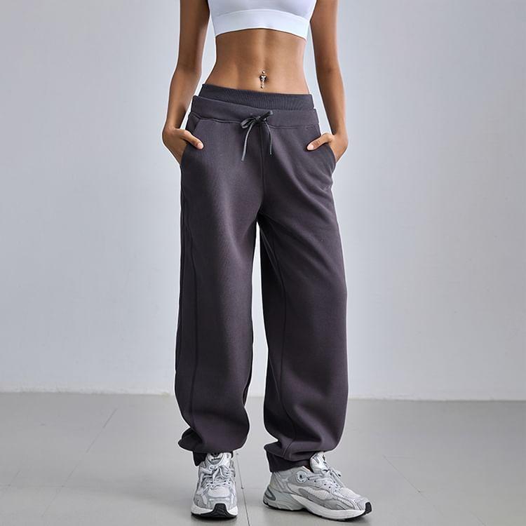 Drawstring Waist Plain Fleece-Lined Straight Leg Sweatpants Product Image