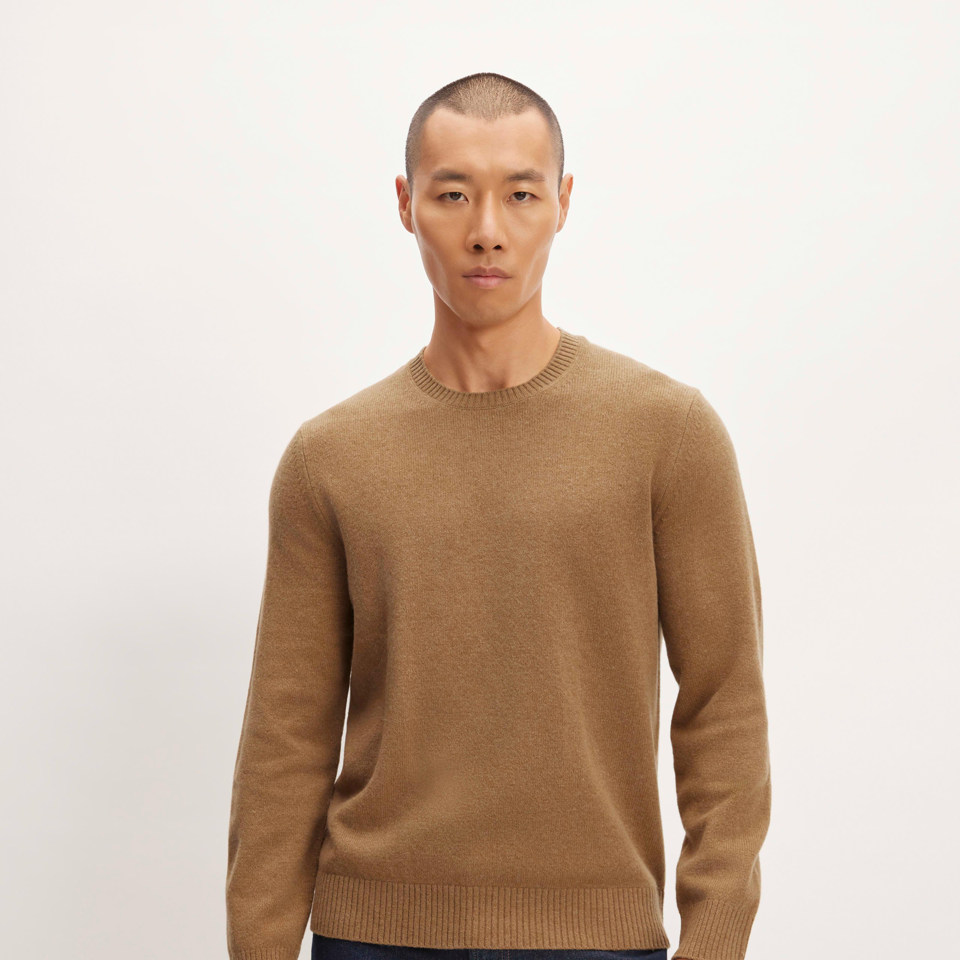 Mens Premium Merino Crew Neck Sweater by Everlane Product Image