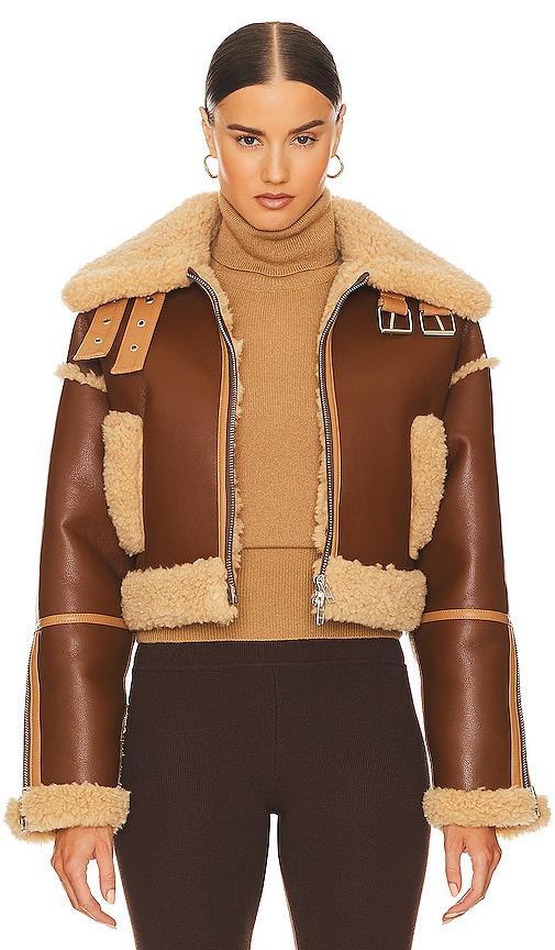 Helsa Cropped Faux Shearling Jacket Size L. Product Image