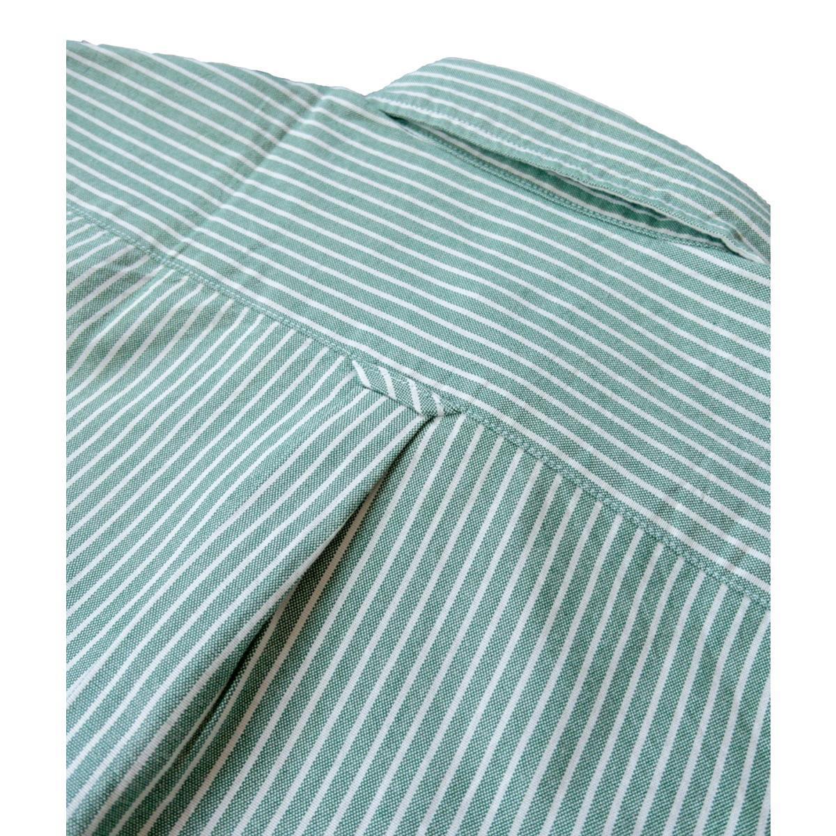 Oxford Cloth Button Down Classic Evergreen Stripe Product Image