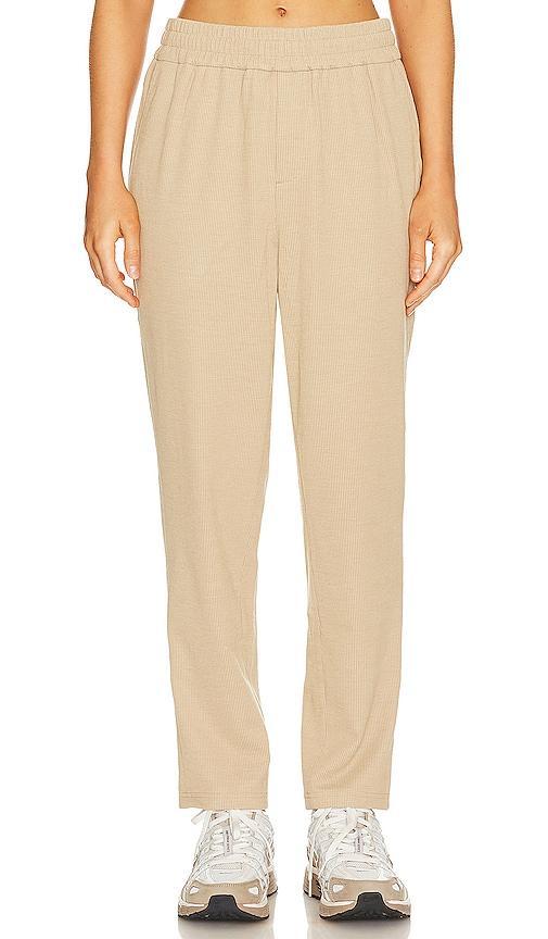 WAO Ribbed Knit Pant Product Image