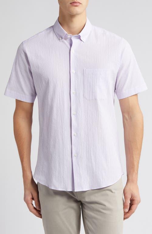 Scott Barber Stripe Short Sleeve Cotton Seersucker Button-Down Shirt Product Image