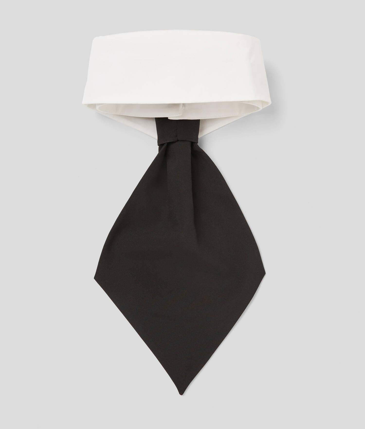 COLLAR AND TIE Product Image