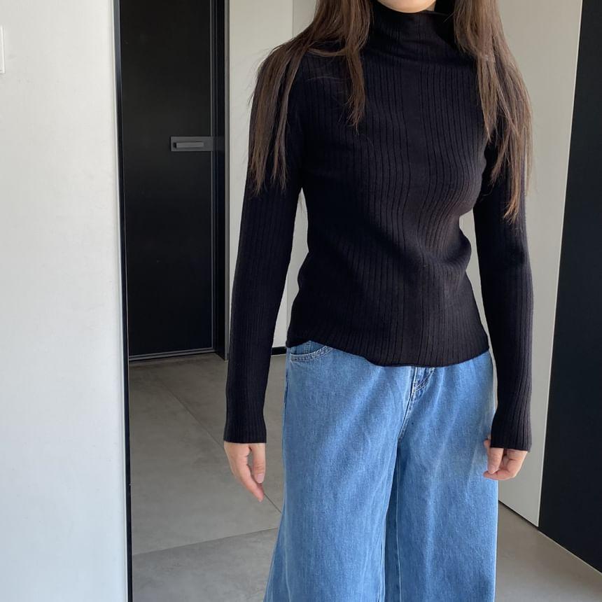 Turtleneck Plain Ribbed Sweater Product Image