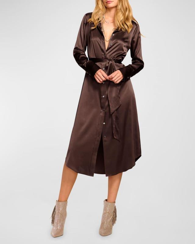 Victoria Silk Shirtdress Product Image