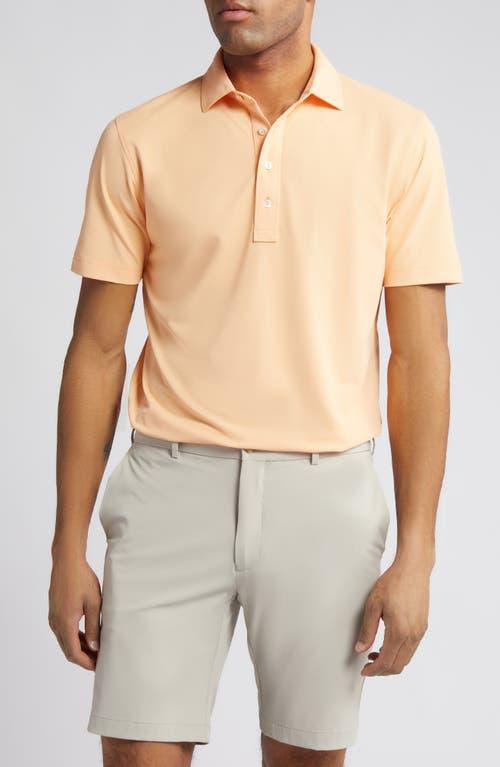 Peter Millar Crown Crafted Soul Performance Mesh Polo Product Image