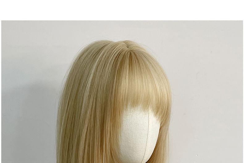 Long Full Wig - Straight Product Image