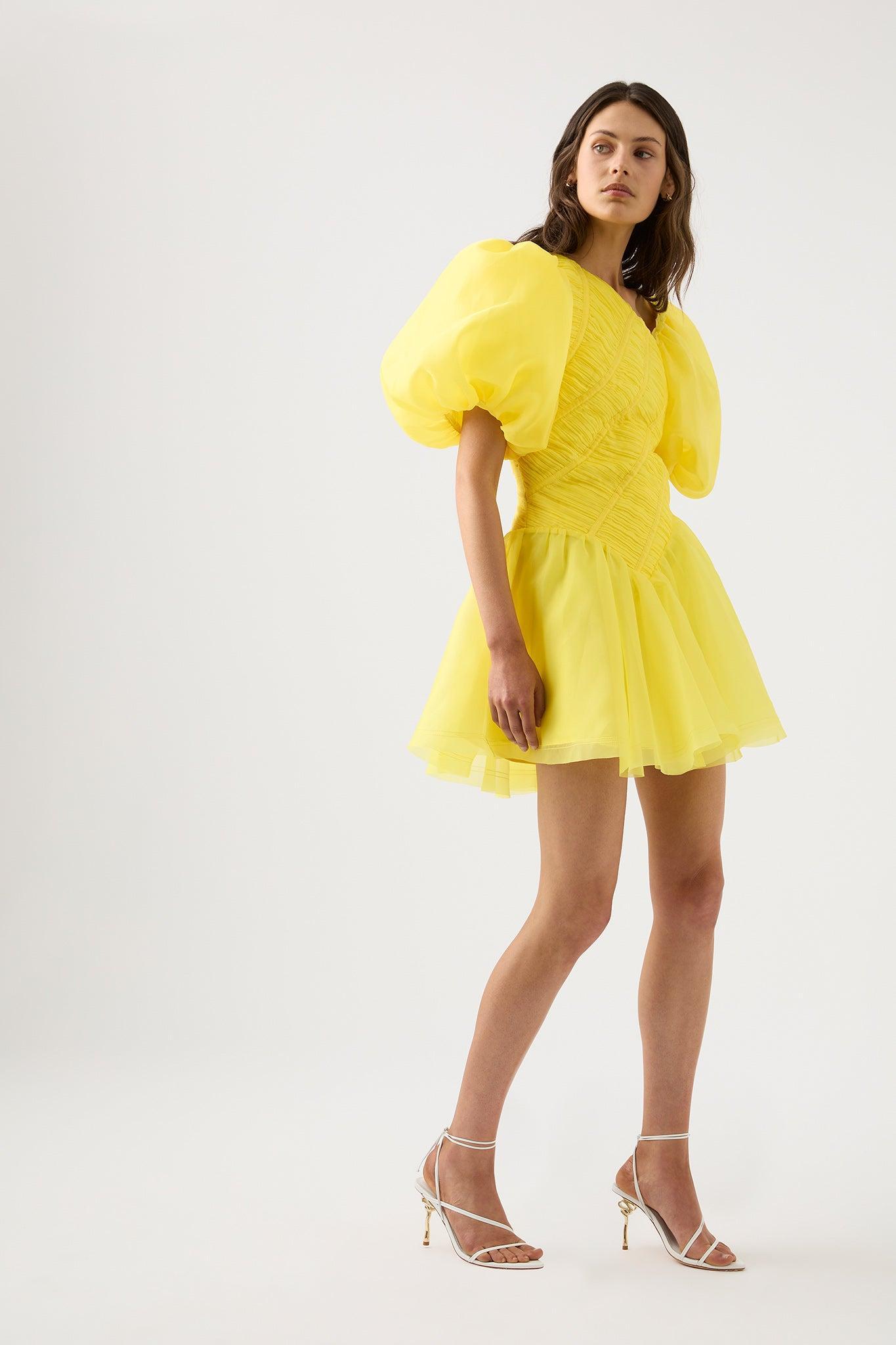 Dawn Ruched Mini Dress Product Image