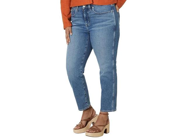 Madewell Plus Curvy Stovepipe Jeans in Heathridge Wash (Heathridge Wash) Women's Jeans Product Image