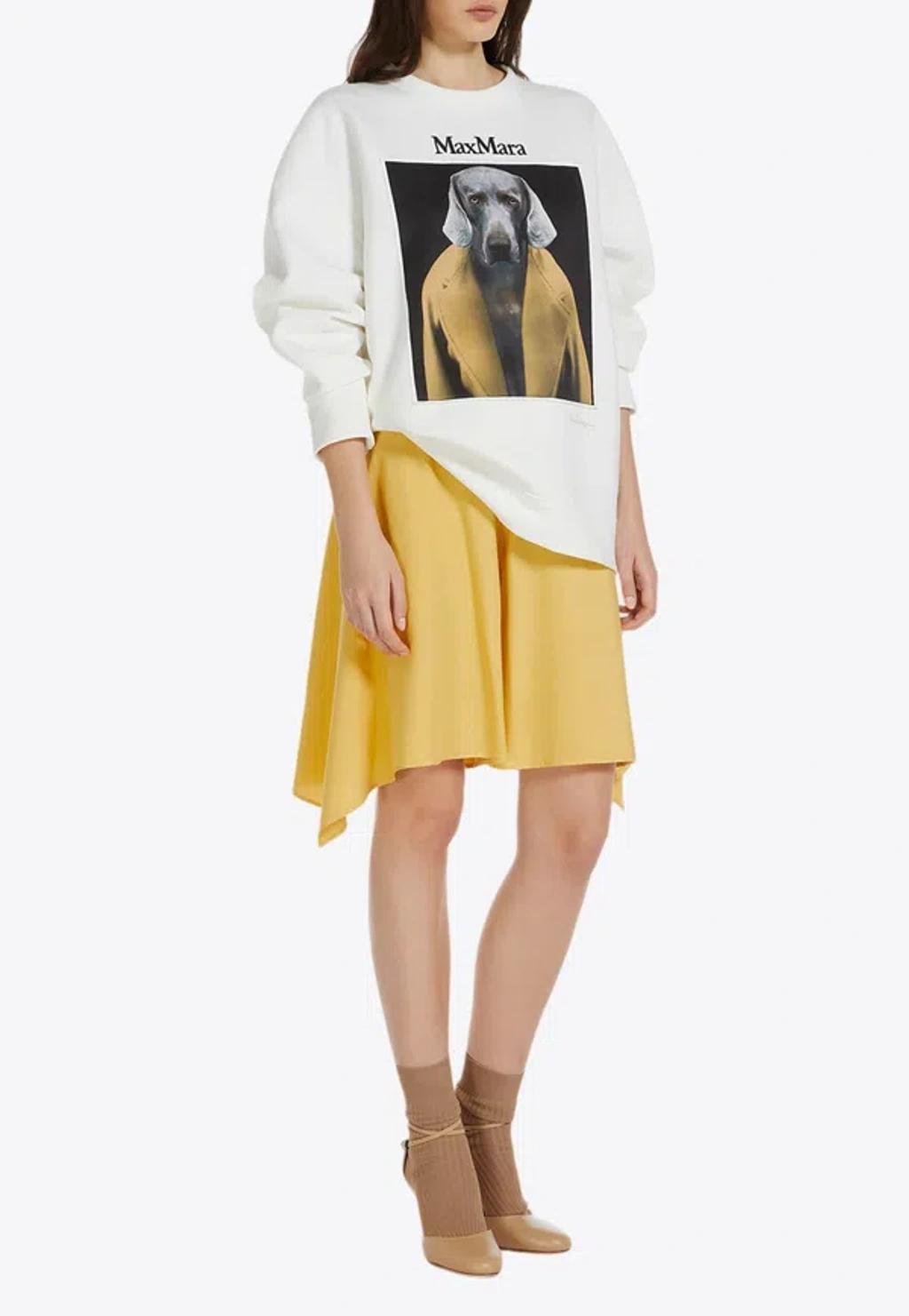 MAX MARA Sweaters In Beige Product Image