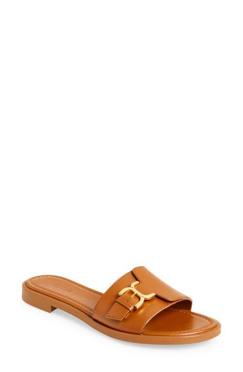 Marcie Leather Buckle Flat Sandals Product Image