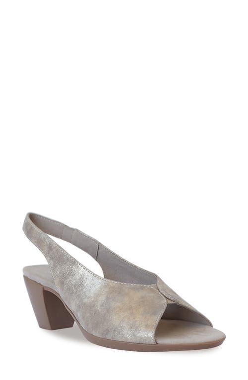 Munro Rochelle Slingback Sandal Product Image