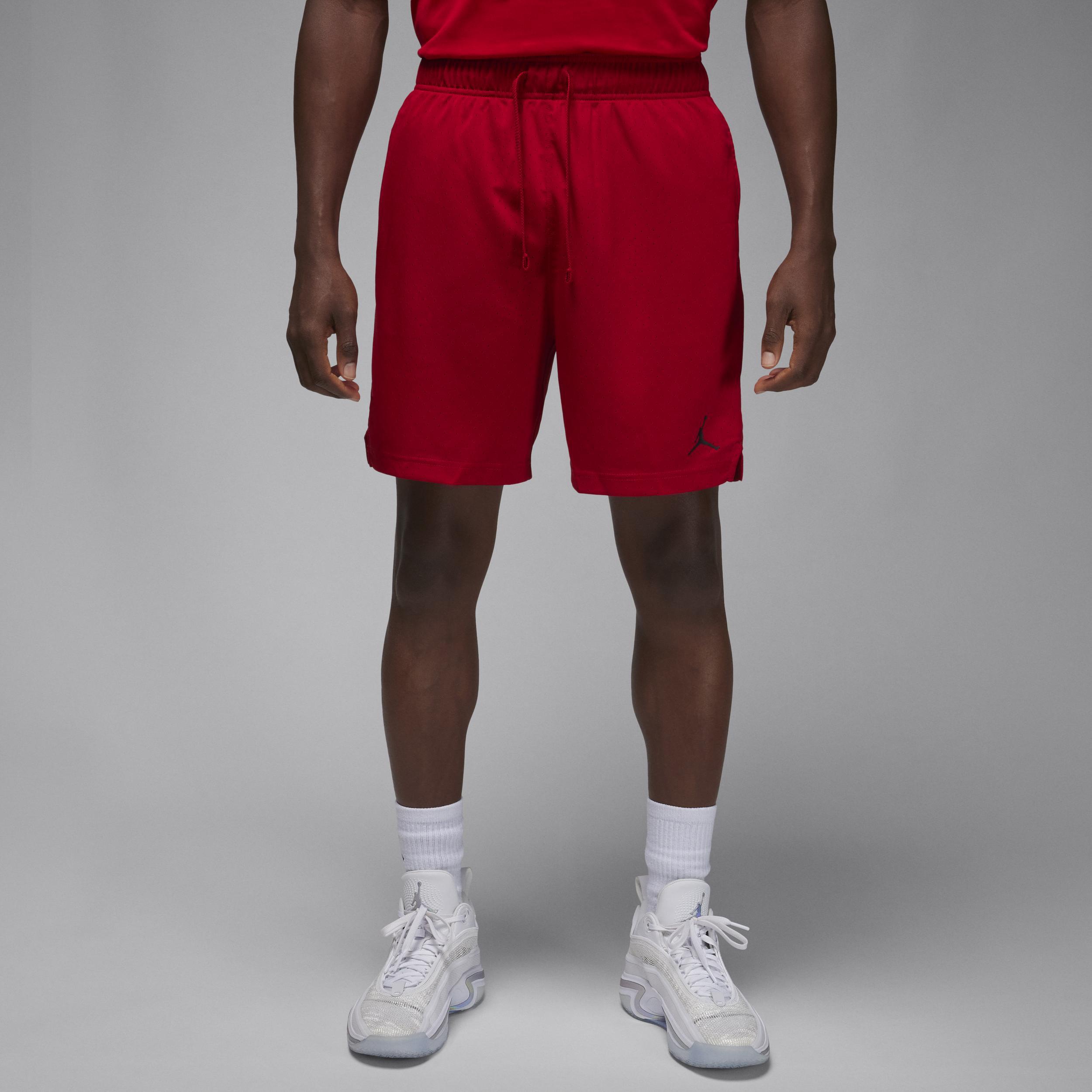 Men's Jordan Dri-FIT Sport Mesh Shorts Product Image