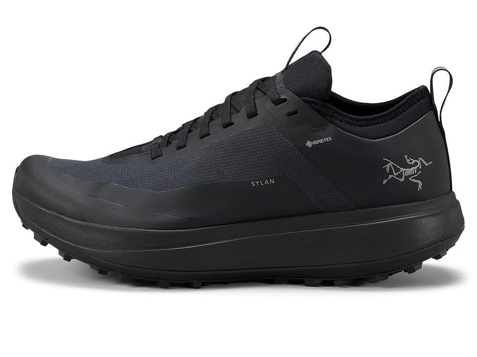 Arc'teryx Sylan GTX (Edziza/Solitude) Men's Shoes Product Image