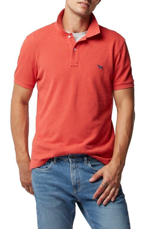 Rodd & Gunn Gunn Piqu Sports Fit Cotton Polo Product Image