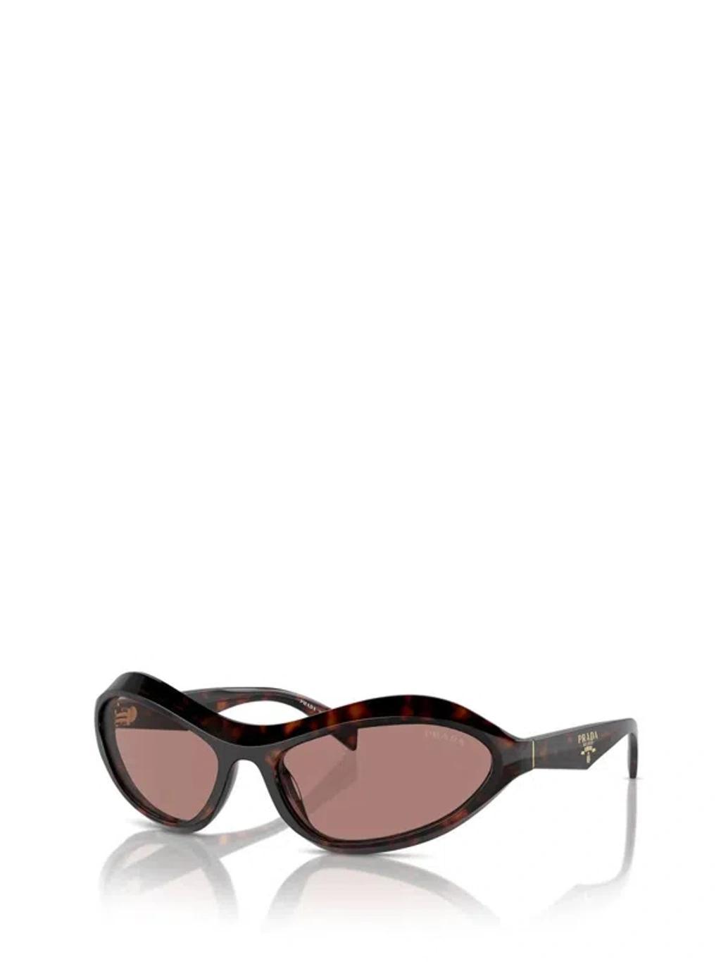 Eyewear Sunglasses In Crl Product Image