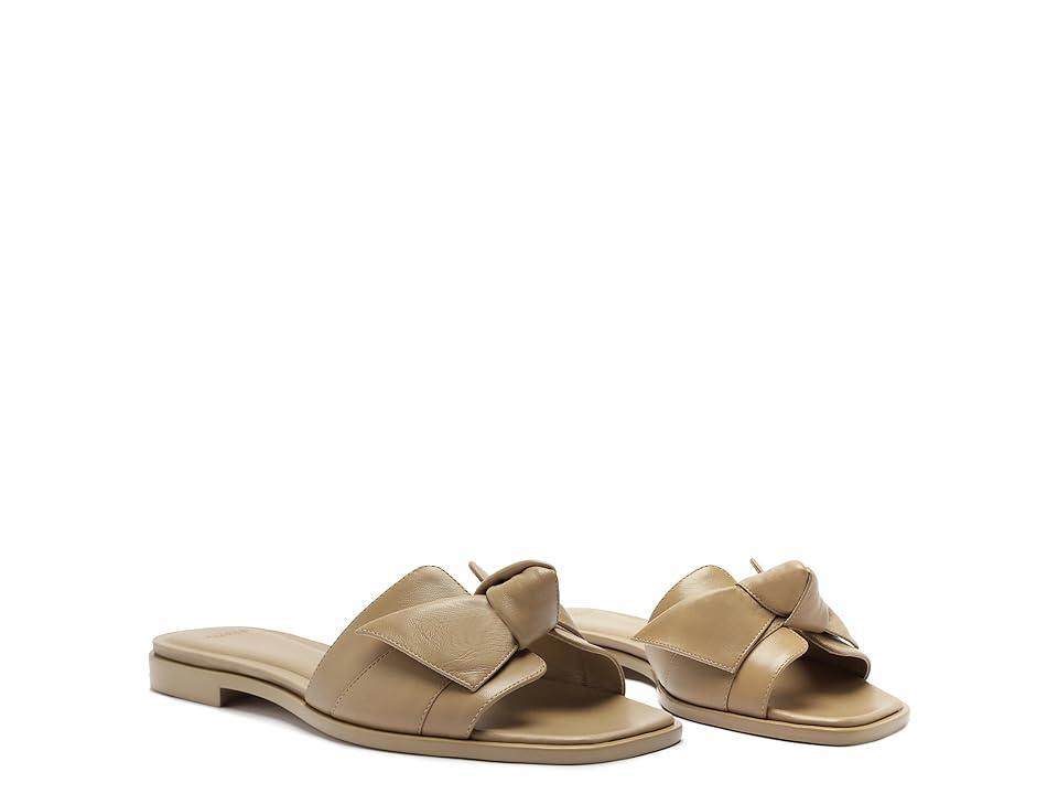 Alexandre Birman Maxi Clarita Bow Strap Slide Sandal Product Image