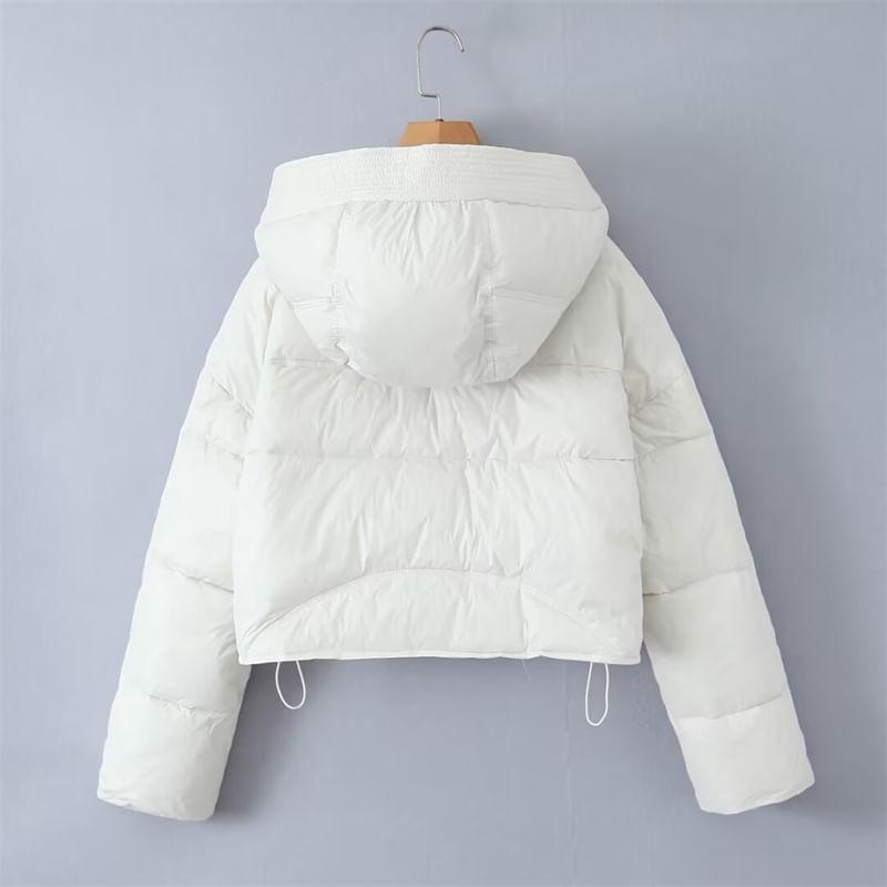 Plain Hooded Single-Breasted Puffer Jacket Product Image