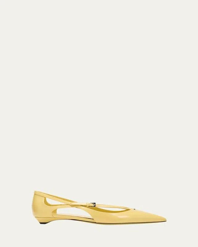 Leather Crisscross Buckle Ballerina Flats In Polline Product Image