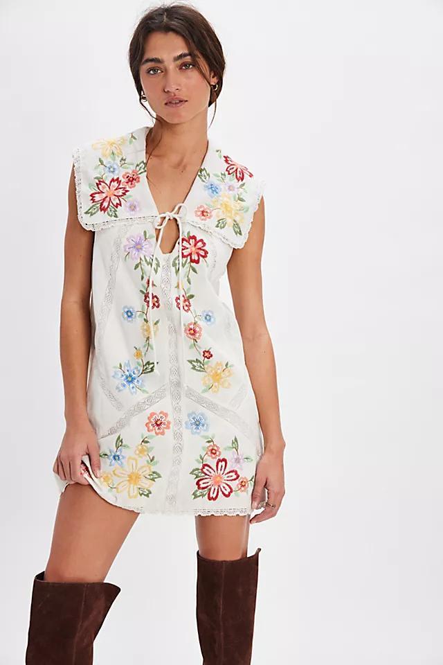 Willow Embroidered Mini Dress Product Image