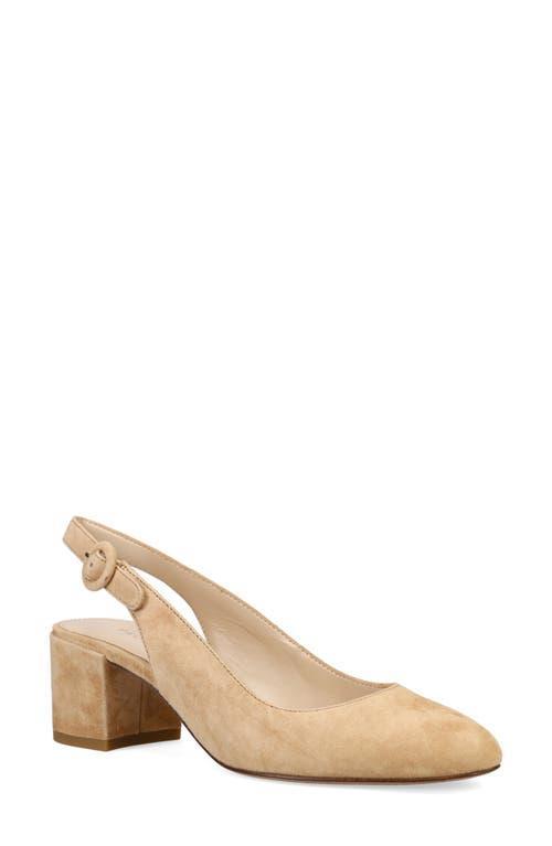 Pelle Moda Ulla Slingback Pump Product Image