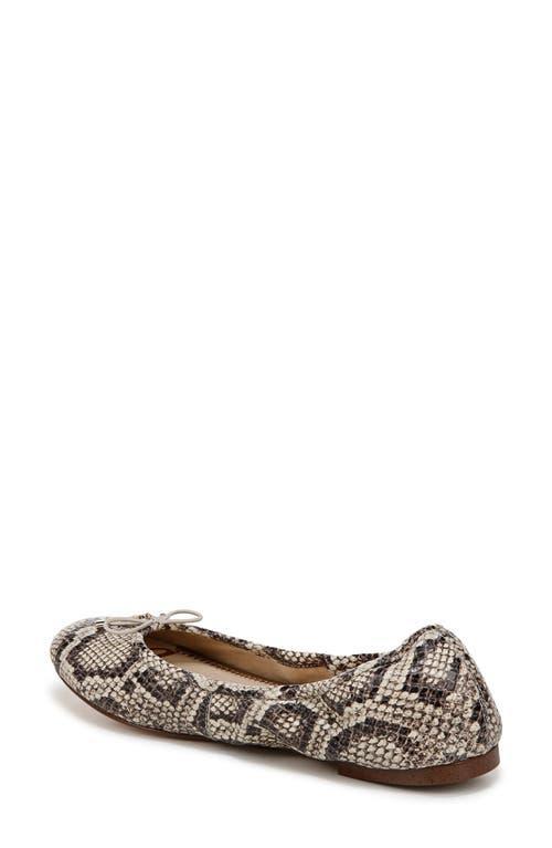 SAM EDELMAN Felicia Ballet Flat Roccia Leather In Grey Product Image