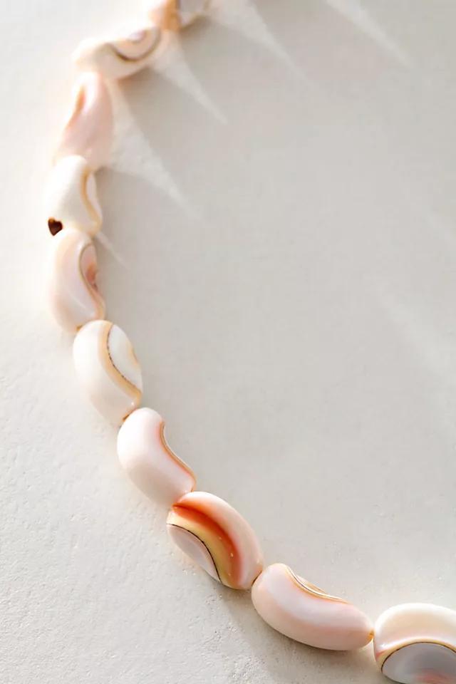 Roseline Shell Strand Necklace Product Image