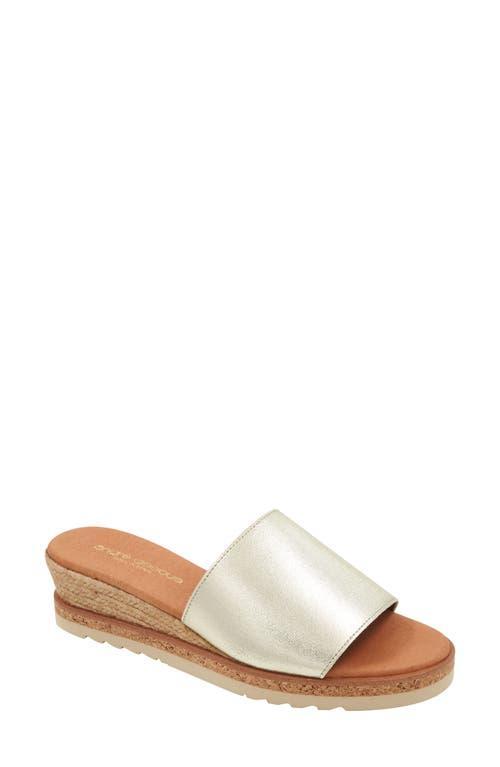 Andr Assous Nessie Platform Wedge Sandal Product Image