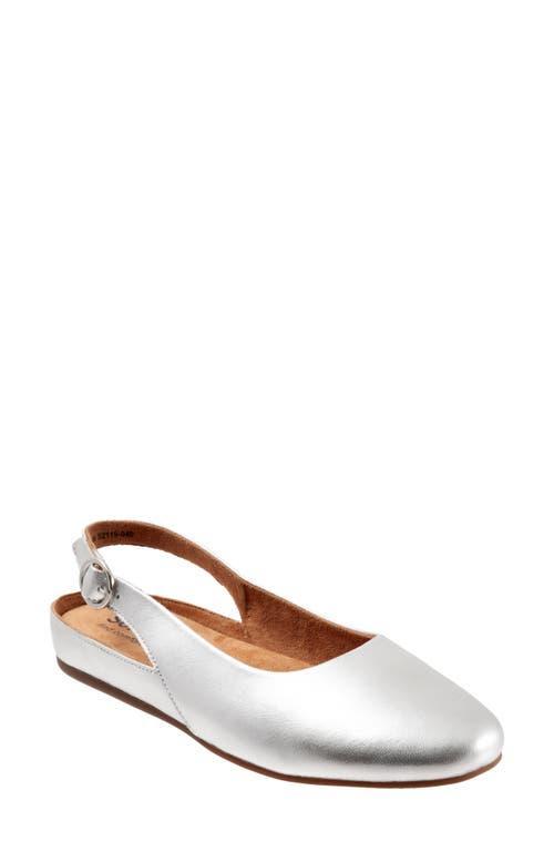 SoftWalk Sandy Slingback Flat Sandal Product Image