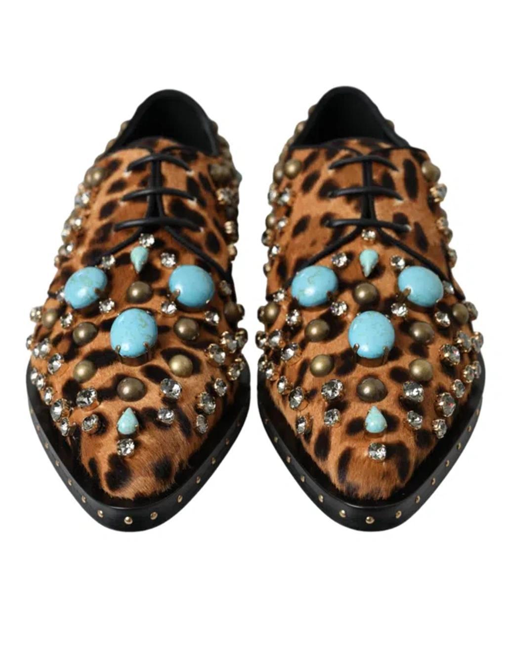 DOLCE & GABBANA Brown Leopard Hair Crystal Dress Broque Shoes In Black And Brown Product Image