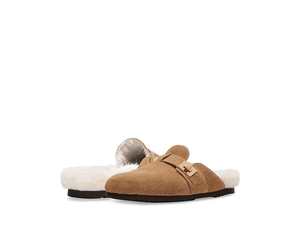 Steve Madden Money Suede Fur) Women's Shoes Product Image