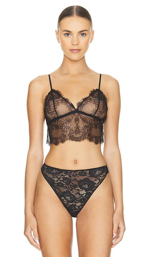 Lace Bralette Product Image