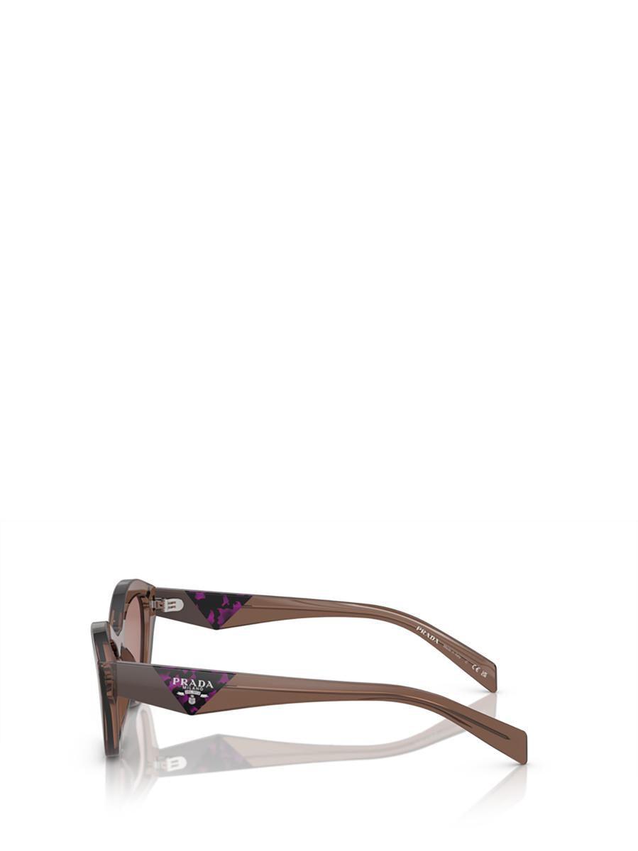 Sunglasses In Brown Product Image