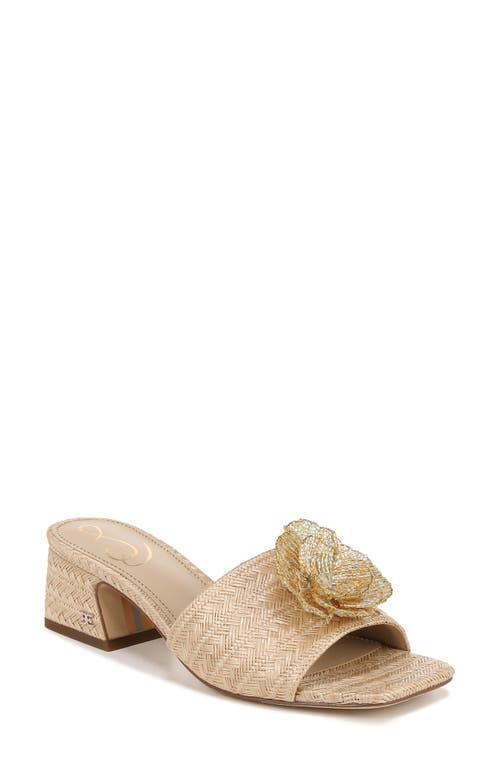 Sam Edelman Winsley Raffia Slide Sandal Product Image