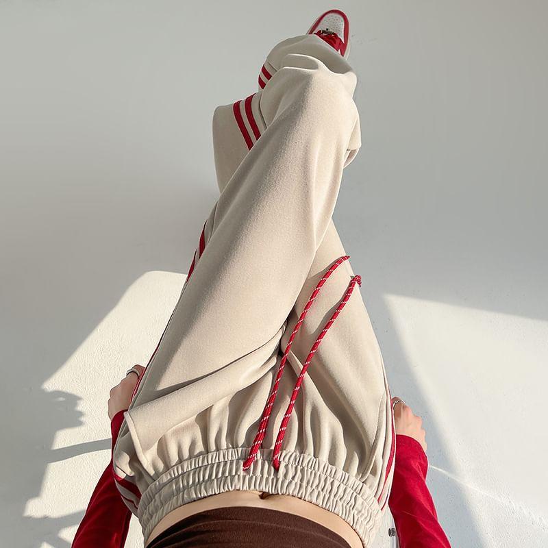 Drawstring Waist Striped Trim Wide Leg Sweatpants Product Image