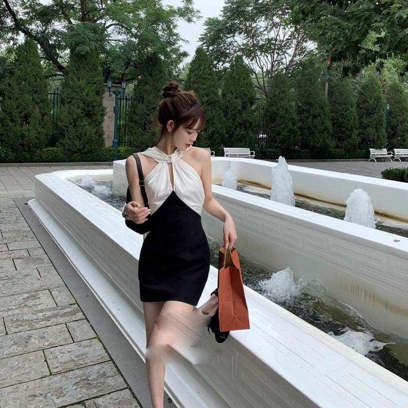 Sleeveless Two Tone Mini Bodycon Dress Product Image