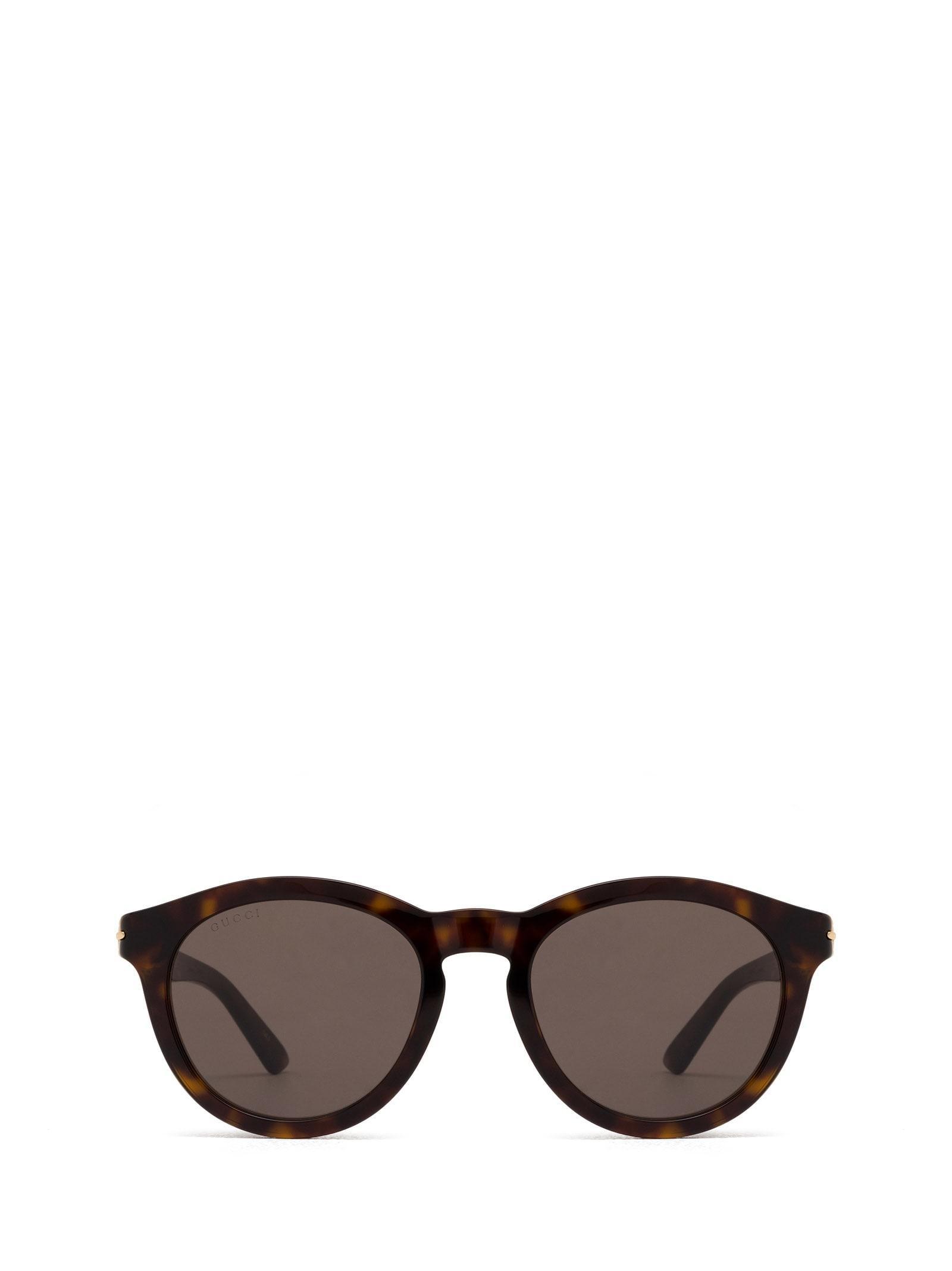 Eyewear Sunglasses In Havana Product Image