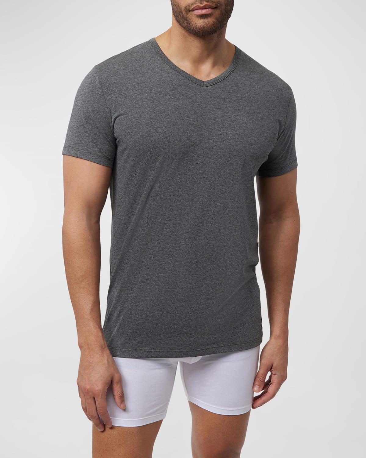 Mens 2-Pack V-Neck T-Shirts Product Image