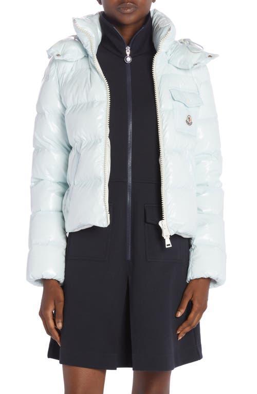 Womens Andro Down Jacket Product Image